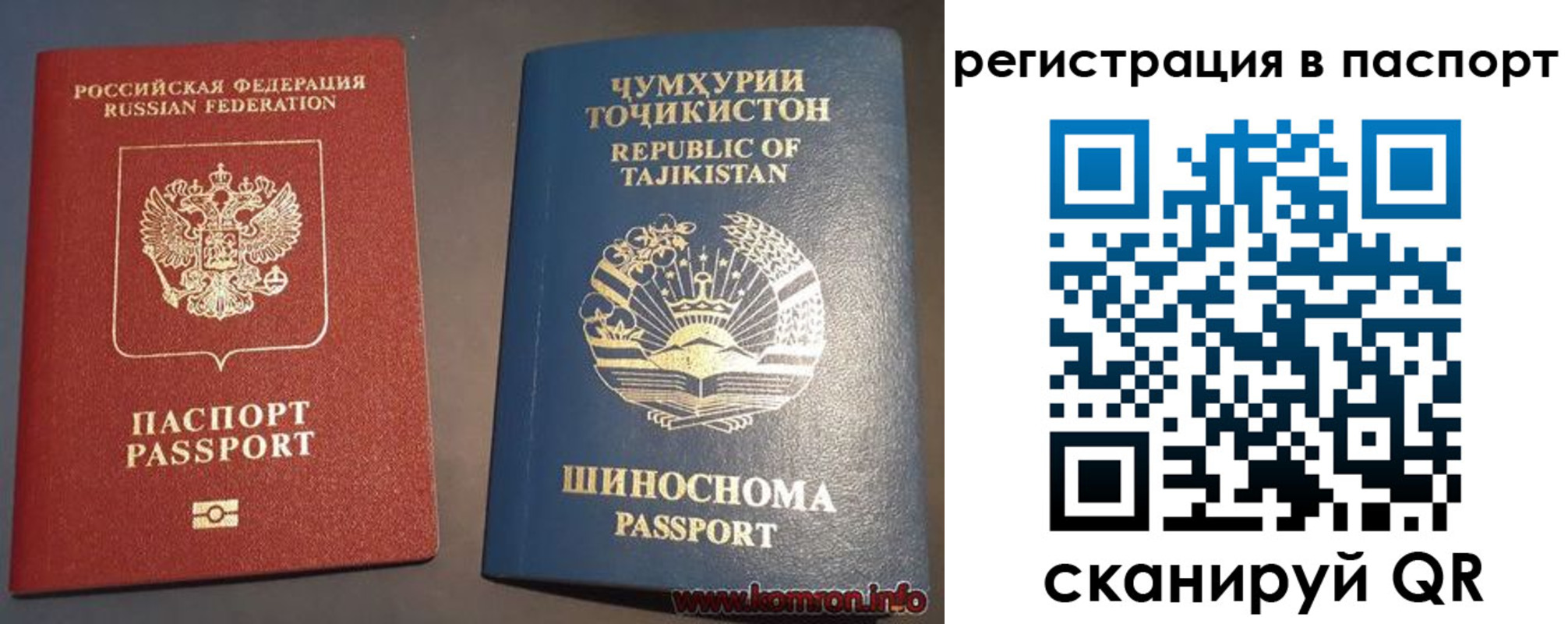 прописка регистрация в Нелидово